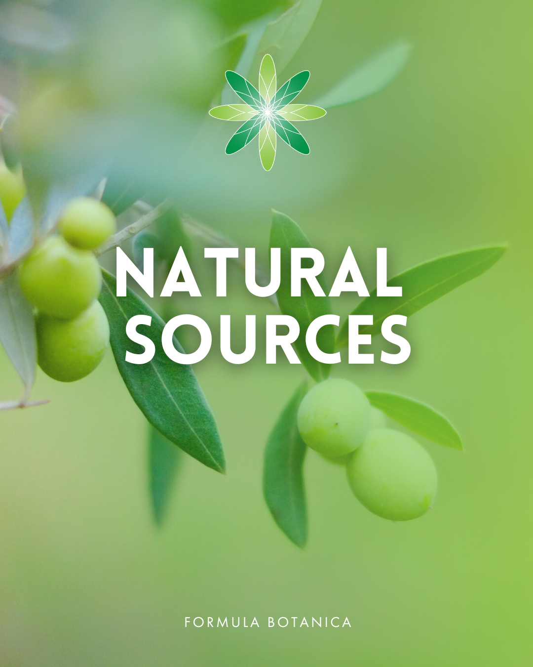 The Formulator’s Guide to Squalene and Squalane
