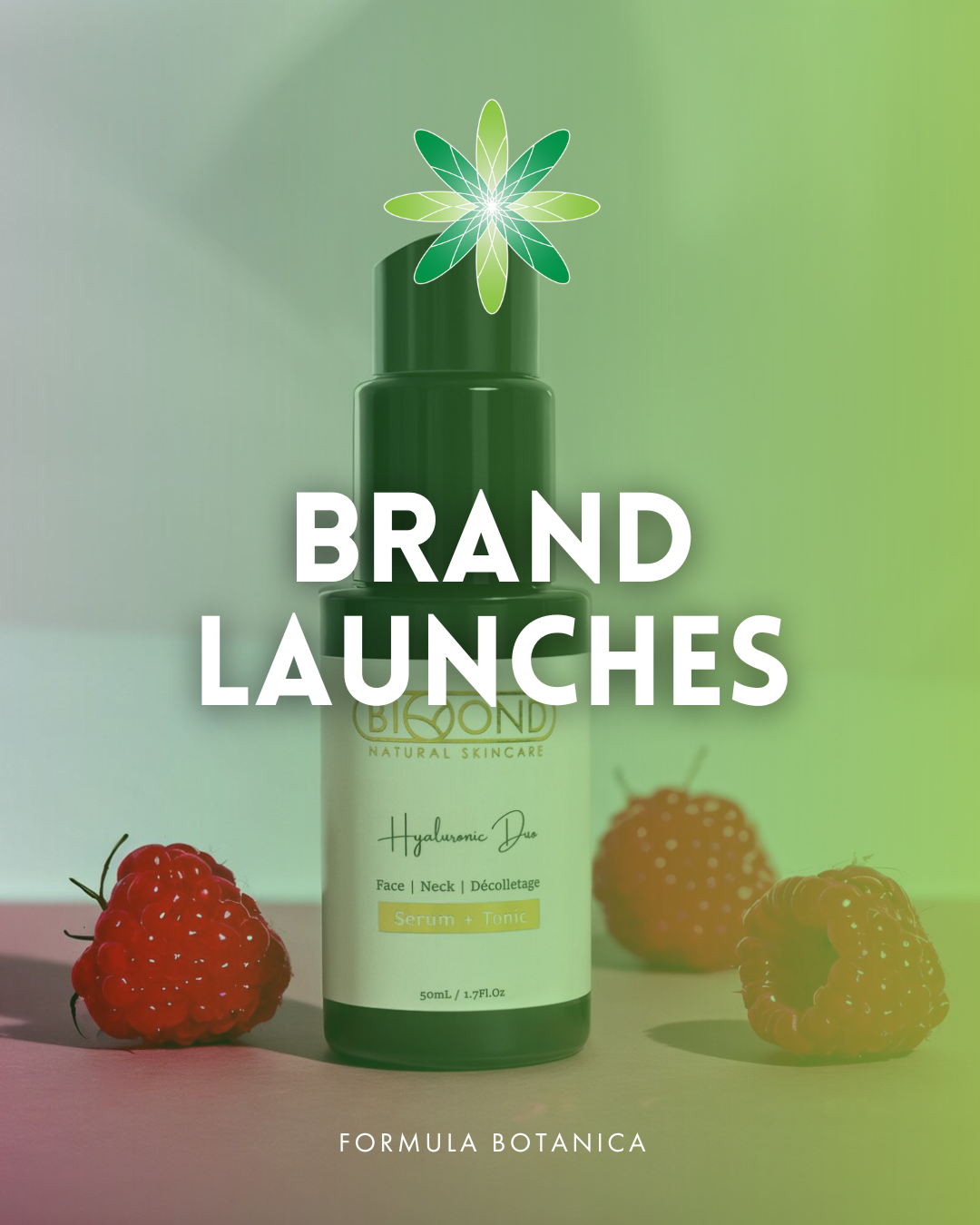 Formula Botanica mid-year celebration: What you achieved so far